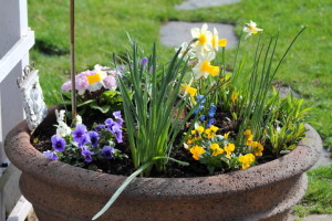 Spring planter3