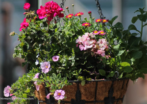 Rosy pink and pale pink basket