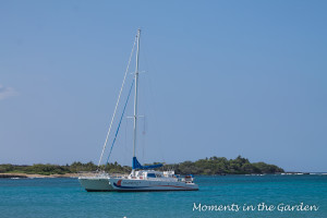 Catamaran in bay-3070