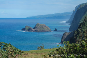 Lookout on other side Waipoli-3195