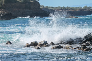 Ocean spray over rocks-3203