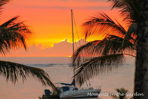 Sun going down behind clouds-3295