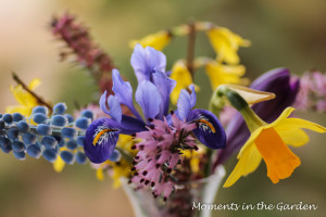 Selection of spring flowers-3792