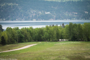 View of Park from trail-5062