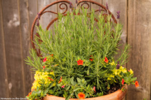 Basket in rustic chair-6175