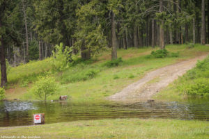 Flooding in camp area-5311