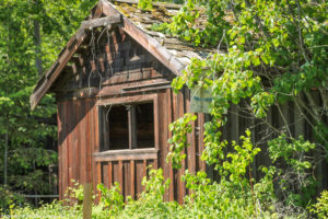 Old outbuilding-5826