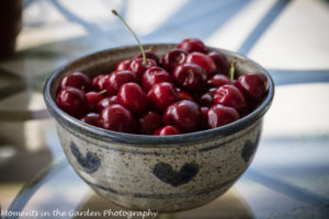 Bowl of cherries-8289