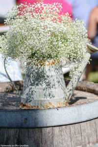 Simple babys breath display-6844