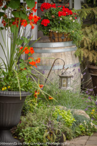 Wine barrel corner-8282