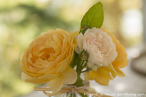 Apricot & white rose posy