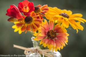 Orange-yellow bouquet-8946