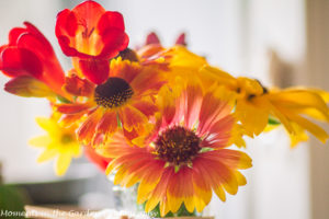 Orange-yellow bouquet, window-8955