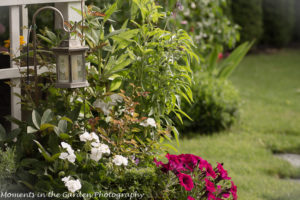 View through front big container-8743