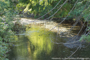 Early morning light stream