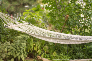 Hammock