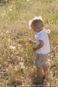 Linden looking at seed head