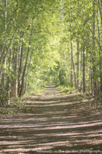 The Avenue, Vertical