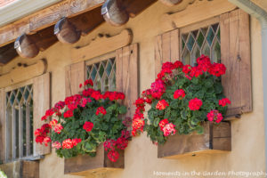 Window boxes outside Gasthaus