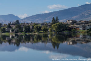 beautiful-evening-reflections-in-the-lake