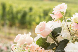 roses-with-raindrops