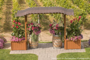 wedding-area-summerhill-winery