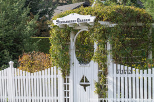 entrance-to-findleberry-garden-before-deer-fence