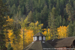 view-of-barns