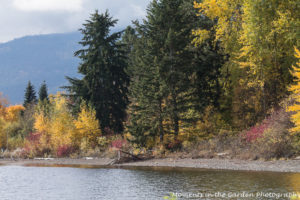 view-of-lake2