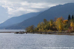 view-of-old-dock