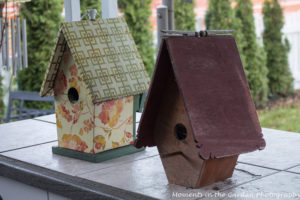 bird-houses-5892