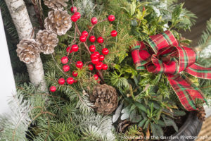 outside-container-with-ribbon-close-up-5743