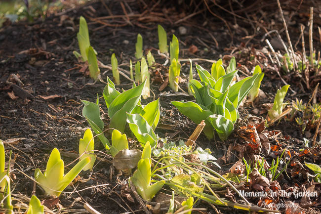 Photos taken Apr 9, 2018-9956